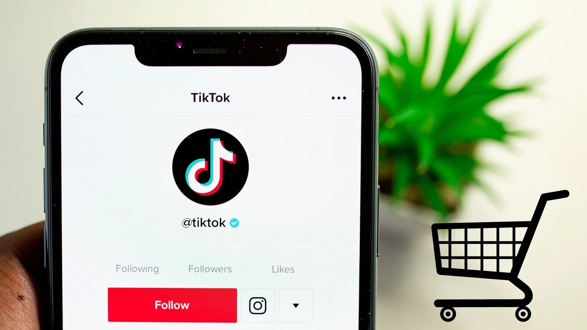 Bạn cần có tài khoản TikTok Business để tạo Tikton Shop