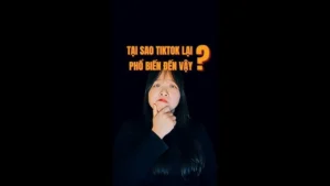 TikTok là nơi mà bất kỳ ai cũng có cơ hội trở thành ngôi sao chỉ sau một vài video